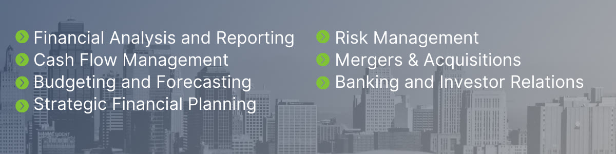 Common Fractional CFO Services